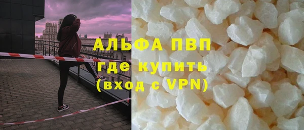 гидра Богородск