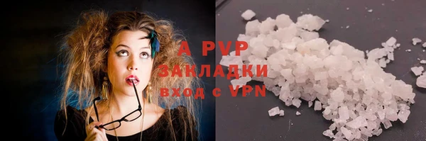 прущие грибы Богданович