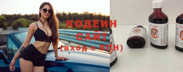 гидра Богородск