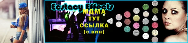 прущие грибы Богданович