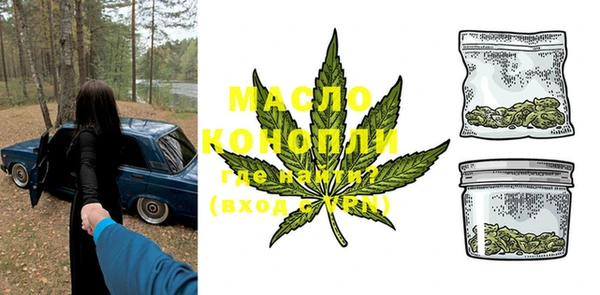 гидра Богородск