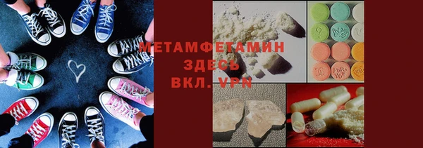 прущие грибы Богданович