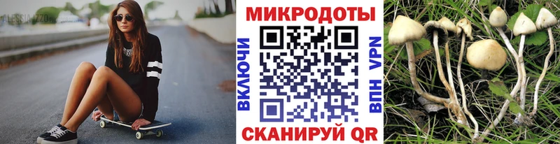 Галлюциногенные грибы Magic Shrooms  Дигора 
